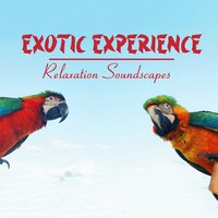 This is Joungle - Exotic Nature Kingdom