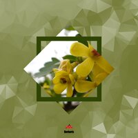 Life Blessings - Corey Biggs