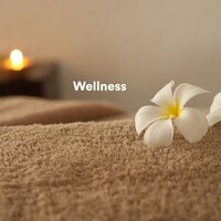Afternoon - Entspannende Musik Wellness & Meditationsmusik Sammlung & Entspannende Musik Spa