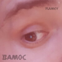 Вамос - Flamey