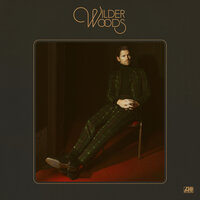 What Gives You The Right - Wilder Woods