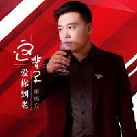 这辈子爱你到老 - 崔伟立