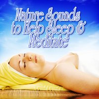 Tranquil Marsh Background for Restful Relief - Nature Sound