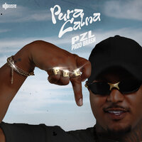 Pura Calma - Mc Pzl & Dj Brash & Serie Ouro