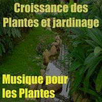 Musique pour les plantes, vol. 13 - Adolphe Arnaud