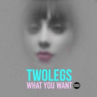 What You Want - Twolegs