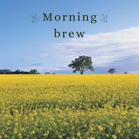 Morning craft - Early sip & Daybreak ale & First Light