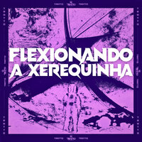 Flexionando a Xerequinha - Mc Fuga & DJ BM PROD