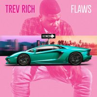 Flaws - Trev Rich