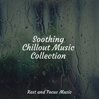 Conscious Meditation - Asian Zen Spa Music Meditation & Sound Sleeping & Chakra Meditation Universe