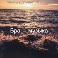 Созерцая, Случается - Бранч музыка