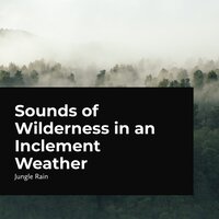 Lush Wilderness - Jungle Rain