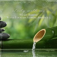 Steady Bamboo Water Fountain Flowing Ambience, Pt. 5 - Sebastian Riegl
