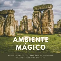 Masaje Terapéutico - Bienestar Maestro