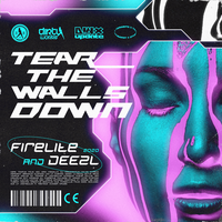 Tear The Walls Down - Firelite & Deezl