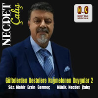 Beklenen Sevgili Çıkıp Gelince - Necdet Çalış