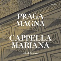 Confitebor tibi Domine - Орландо ди Лассо & Capella Mariana & Cappella Mariana & Vojtěch Semerád & Cappella Mariana, Vojtěch Semerád