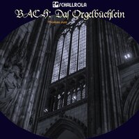 Puer natus in Bethlehem, BWV 603 in G-Moll - Thomas Juni
