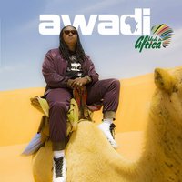 Comme au 1ER jour - Didier Awadi & Dadipo Slim