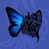 Reflet - Ima