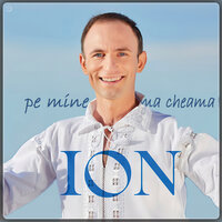 Vino, Mama Acasa - ION PALADI