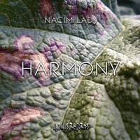 Harmony - Nacim Ladj