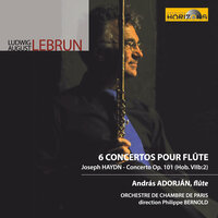 Concerto No. 6 in F Major: I. Allegro - Orchestre De Chambre De Paris & Philippe Bernold & Andras Adorjan