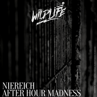 Afterhour Madness - Niereich