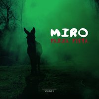 Wild Boy in Town - Miro