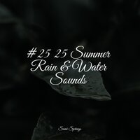Water, Creek, Stream, Birds - Alpha Waves & Música para Relaxar Maestro & Spa Relaxation