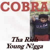 No Challenge - Cobra
