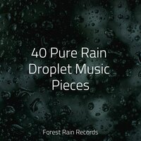 Waves, Light, Close, Serene - Nature's Symphony & Oasis de Détente et Relaxation & Tranquil Music Sound Of Nature