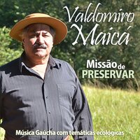 Reflexão - Valdomiro Maicá