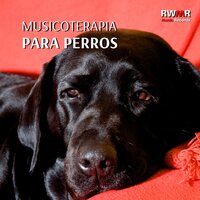 Para mi fiel amigo - RW Terapia de sonido