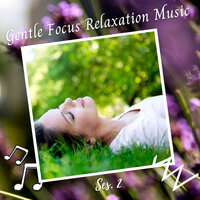 Winter River - Focus and Concentration & Cat Music Therapy & Music For Anxiety