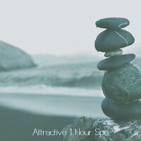 Cultivated Music for Facial Therapy - Attractive 1 Hour Spa