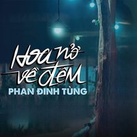 Hoa Nở Về Đêm - Phan Đình Tùng