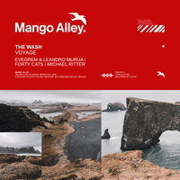 Voyage - The Wash & Michael Ritter