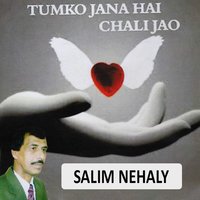 Mera Dard E Nehaa - Salim Nehaly