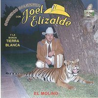 El Tigre - Joel Elizalde