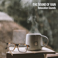 Rain Sound Experiment - Nature Vibrations & Spa Music Relaxation & Concentration Music for Work