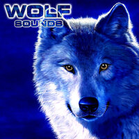 Wolf Sounds - Wolf Sounds & National Geographic Animal Sounds & Nature Sounds New Age & National Geographic Nature Sounds & National Geographic Soundscapes & Relaxing Nature Sound