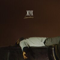 Жук - Levandowskiy