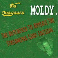 Nine Inch Naliens - The Quagaars