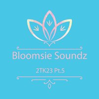 Capo Light - Bloomsie Soundz