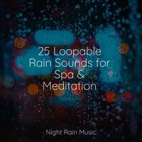 Wetland, Pond, Animals - Pro Sounds of Nature & Soothing Chill Out For Insomnia & Rain Storm Sample Library