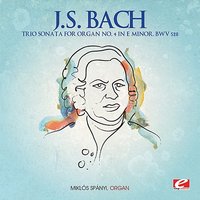 Trio Sonata for Organ No. 4 in E Minor, BWV 528: Adagio - Vivace - Miklos Spanyi & Johann Sebastian Bach