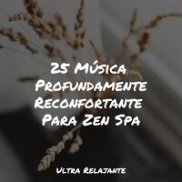 La Vida en Los Trópicos - Relajante Academia de Música Zen & Musica Para Meditar y Relajarse & Massagem Guru