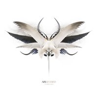 Alchemist - AIRI