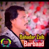 Da Janan Satargi - Bahadar Zaib